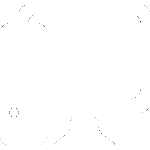 SISR